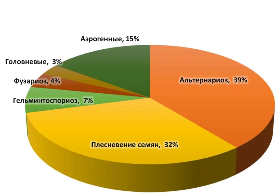 diagrama