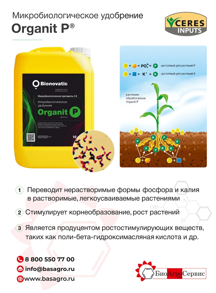 bioagroservice