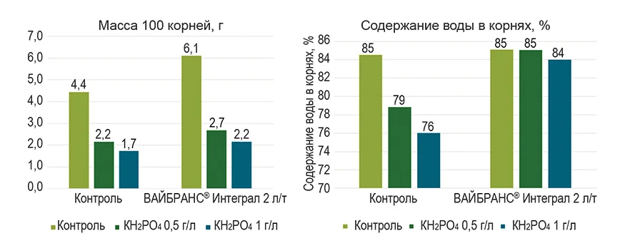 grafik 1