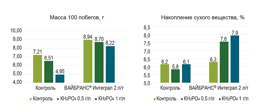 grafik 2