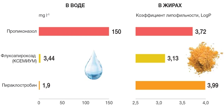 b2 2