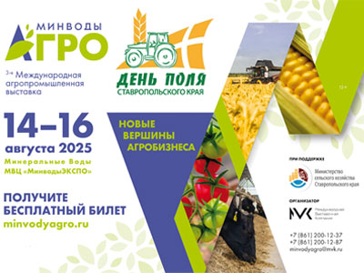 300х400