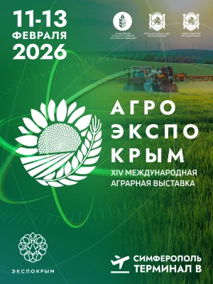 300х400