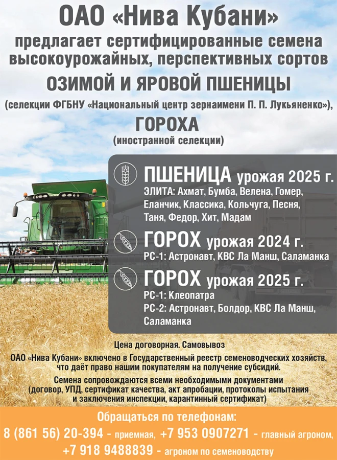 kuban