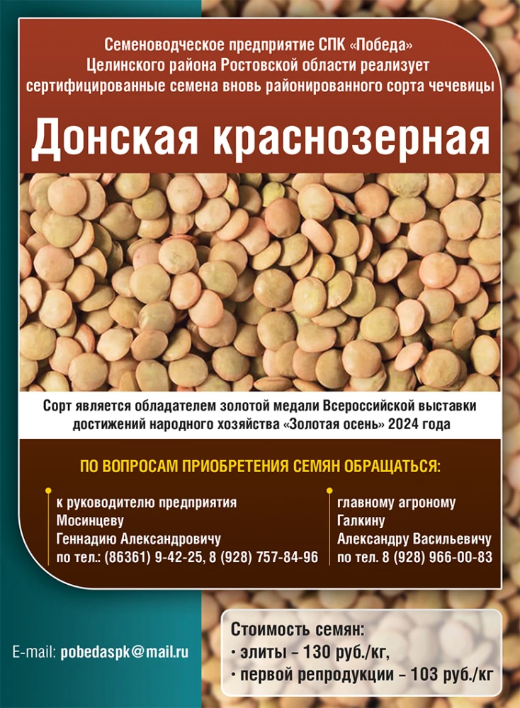 spk pobeda