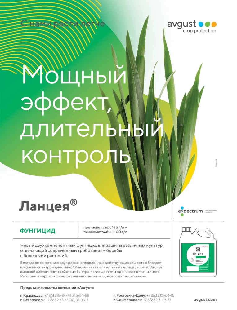 avgust 111
