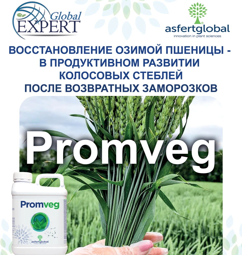 promveg