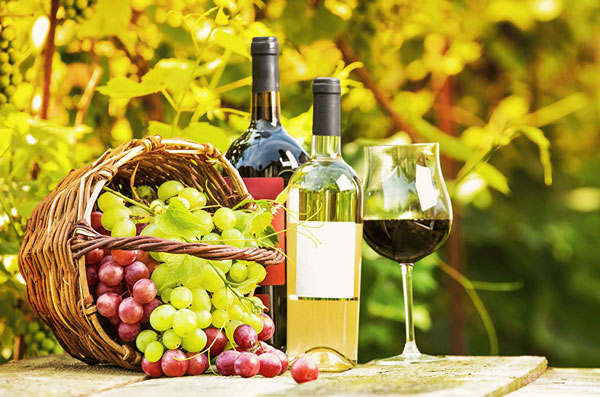 Современные методы идентификации подлинности виноградных вин